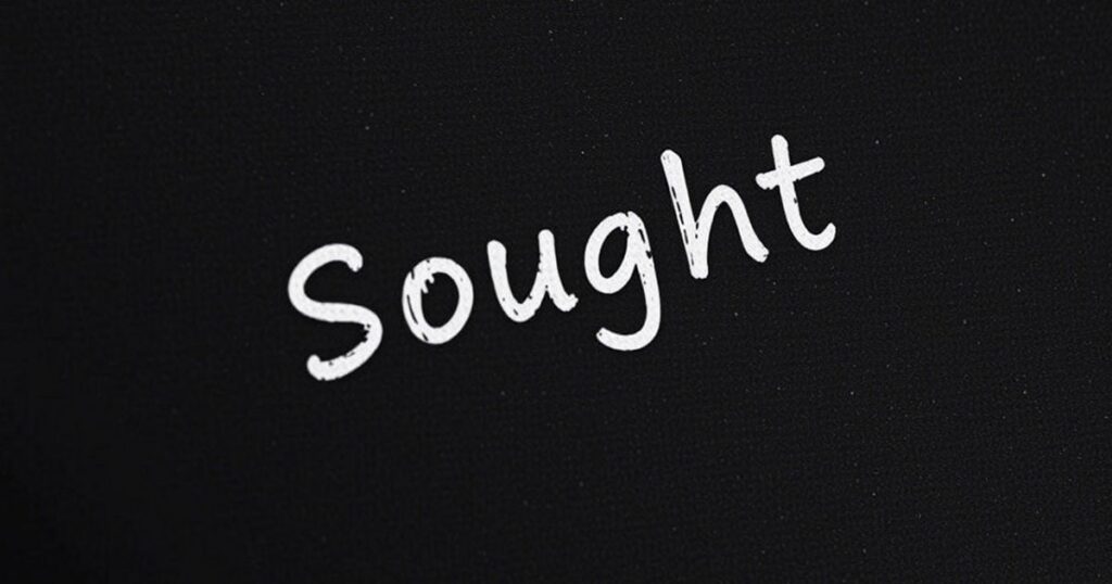 Example Sentences with ‘Sought’